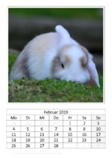 Februar_Kaninchen_2.pdf